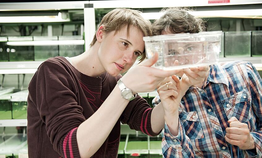 Two young researchers looking at probe