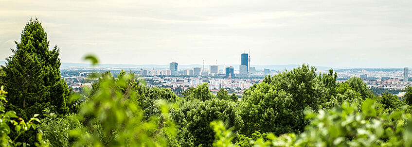 Blick auf Stadt, im Vordergrund Bäume und Sträucher, im Hintergrund Skyline der Stadt Wien 