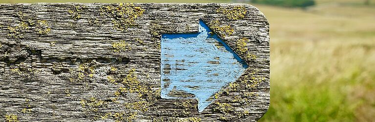 Blauer Pfeil auf Holzschild, nach rechts zeigend, Hintergrund Wiese